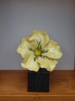 /album/fleurs-vases/fleur-sur-pied-7-jpg/